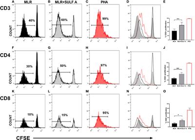 The immunoregulatory effect of the TREM2-agonist Sulfavant A in human allogeneic mixed lymphocyte reaction